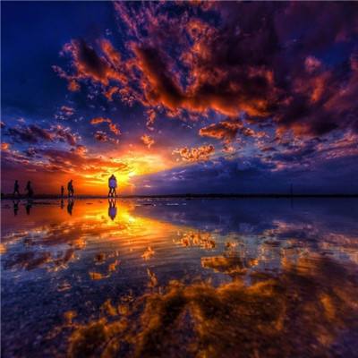 完美电竞平台截图